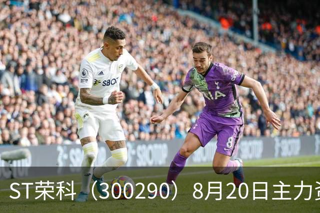 ST荣科（300290）8月20日主力资金净卖出677.72万元